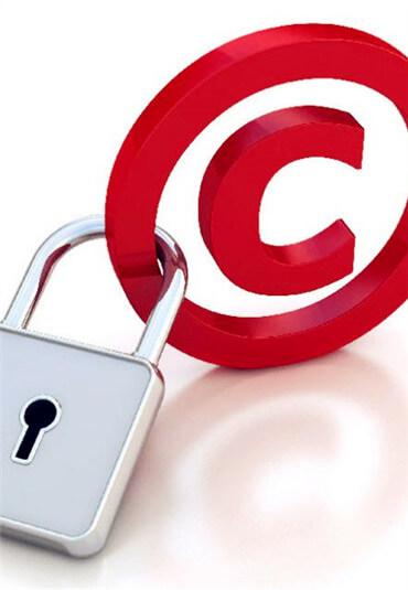 Software Copyright Protection